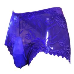 Sissy Lace Open Crotch Pouch Panties Briefs Sexy See-through Underwear