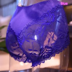 Sissy Lace Open Crotch Pouch Panties Briefs Sexy See-through Underwear Blue Back