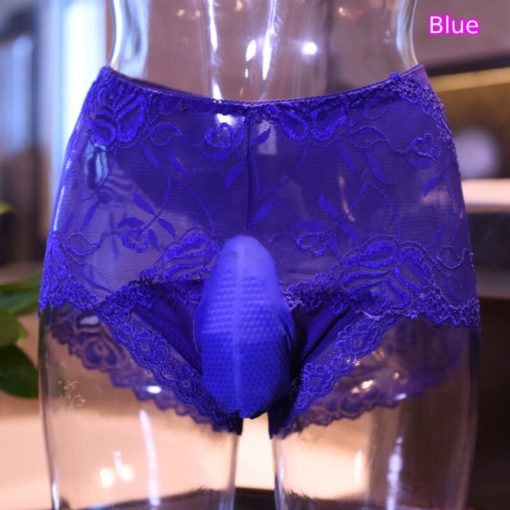 Sissy Lace Open Crotch Pouch Panties Briefs Sexy See-through Underwear Blue Front