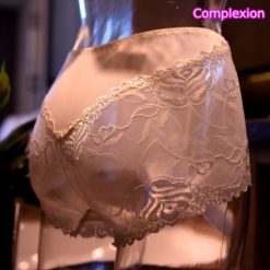 Sissy Lace Open Crotch Pouch Panties Briefs Sexy See-through Underwear Complexion Back