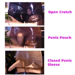 Sissy Lace Open Crotch Pouch Panties Briefs Sexy See-through Underwear Pouch Type
