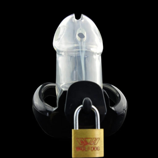 Holy Trainer V2 Plastic Sissy Chastity Cage Transparent Top