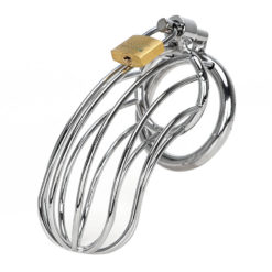 Large Birdcage Steel Male Chastity Device Front