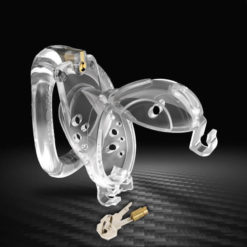 Plastic Double Lock Chastity Cage With Hinged Ring Transparent Open Cap