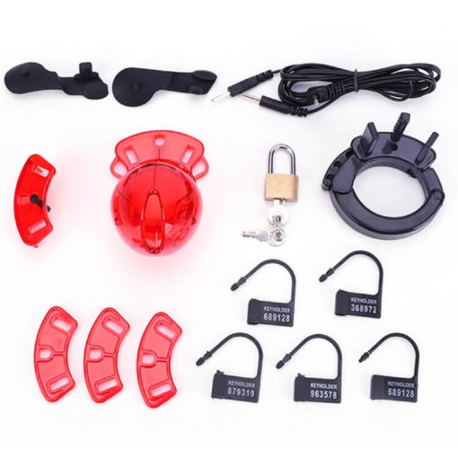 Sissy Maid Plastic Electric Chastity Cage For BDSM Plays Package