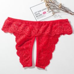 High Cut Sexy Full Lace Crotchless Panties Red Nature