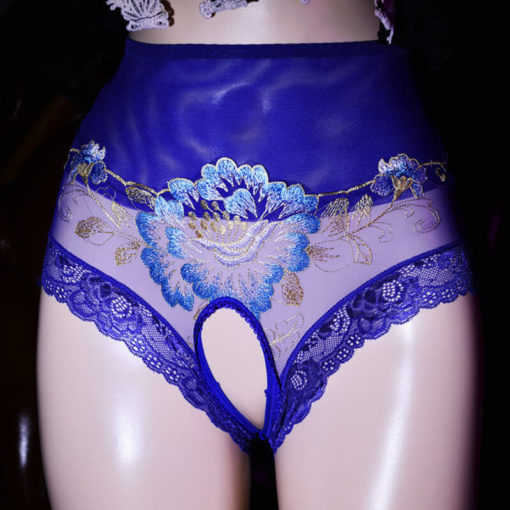 Sissy Lux Embroidered Floral Open Crotch Panties Blue
