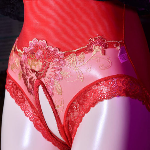 Sissy Lux Embroidered Floral Open Crotch Panties Red