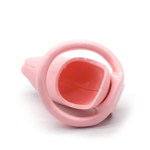 The Dolphin Chastity Cage Pink Inside