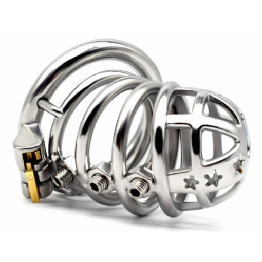 The Hedgehog Spiked Male Chastity Device With Round Ring Top