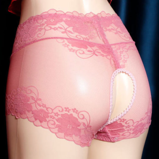 Open Crotch Lace Sheer Classic Underwear Pink Back