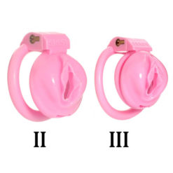 Pink Pussy Chastity Cage G2 And G3