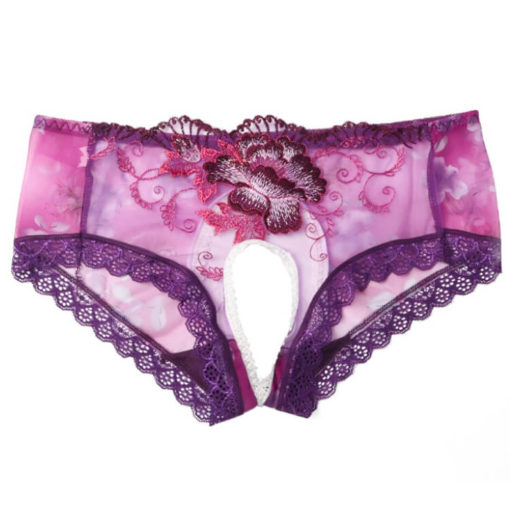 Sheer Crotchless Embroidered Floral Panty