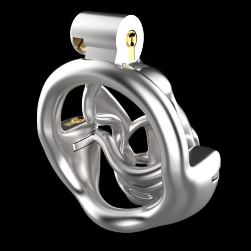 Steel Vice Double Lock Chastity Device Back1