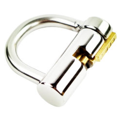 Titanium Prince Albert Chastity Lock