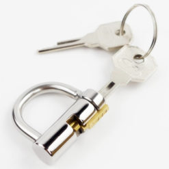 Titanium Prince Albert Chastity Lock With Keys