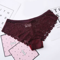 Full Lace Hollow Out Floral Bikini Wine Red