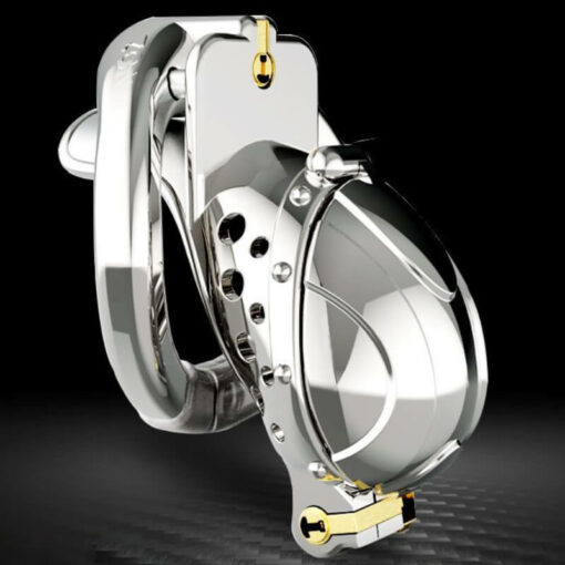 Metal Double Lock Male Chastity Cage With Hinged Ring And Full Enclosed Cap