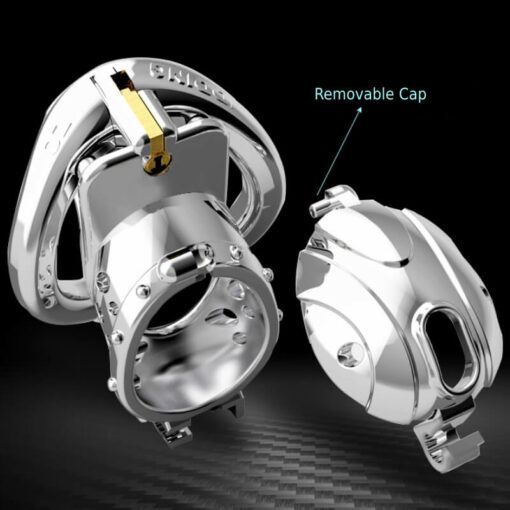 Metal Double Lock Male Chastity Cage With Hinged Ring Instruction