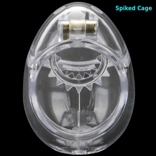 Egg Chastity Device With Anti Pullout Ring Spiked Cage Inside