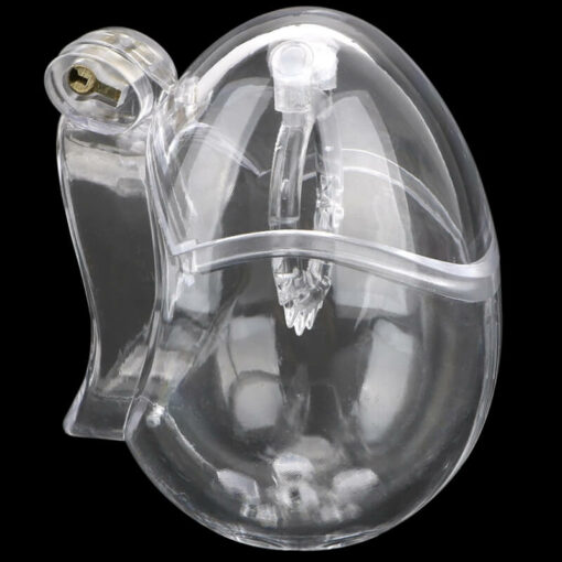 Egg Chastity Device With Anti Pullout Ring Spiked Cage Side