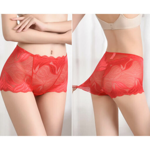 Floral Petal Nylon Full Lace Sheer Panties Model Red Front And Side