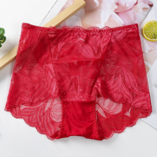 Floral Petal Nylon Full Lace Sheer Panties Red
