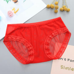 Sexy Sheer Nylon Sissy Bikini Panties Red Flat
