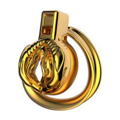 Gold Metal Pussy Shaped Chastity Cage