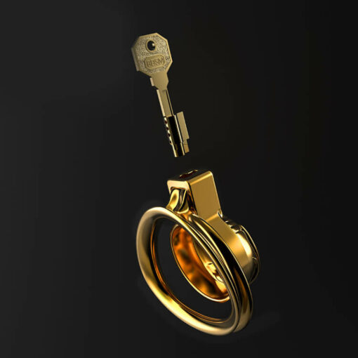 Gold Metal Pussy Shaped Chastity Cage Accessories