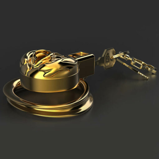 Gold Metal Pussy Shaped Chastity Cage Top