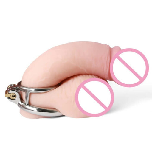 Steel Cock Ring Chastity Cage With Penis Model