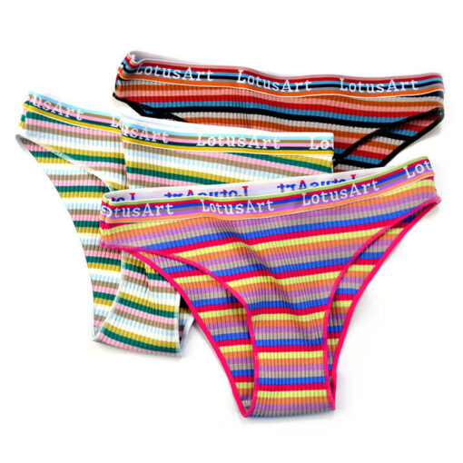 Feminine Rainbow Striped Tucking Gaff Panty Multi Color5