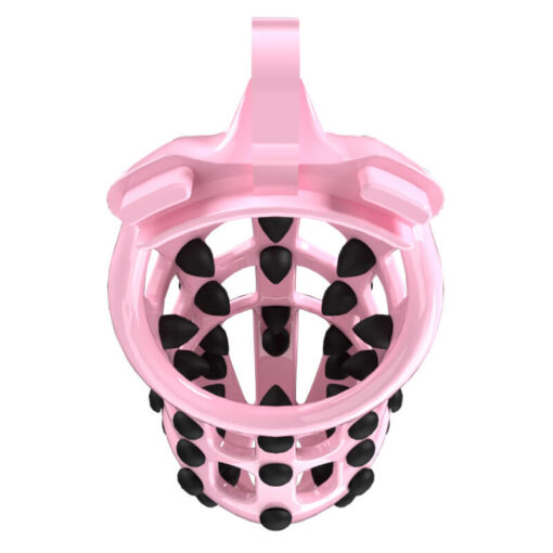 Customizable Spiked Chastity Cage For Punishment Cage Inside