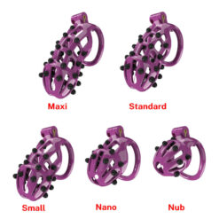 Customizable Spiked Chastity Cage For Punishment Purple