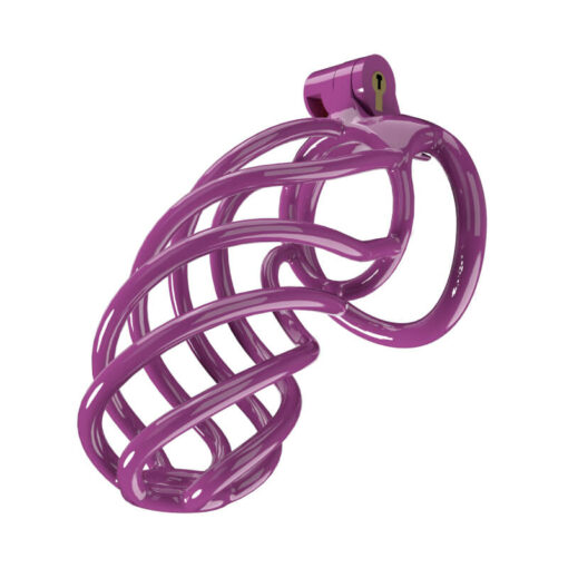 Spiral Birdcage Chastity Lock Purple