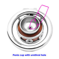 Realistic Silicone Pussy Inverted Chastity Cage Penis Cup