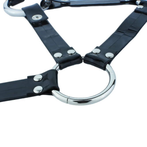Three way Adjustable PU Leather Chastity Cage Belt Detail