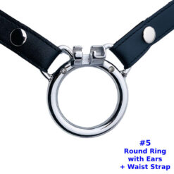 Steel Chastity Cage Rings Round Ring With Ears And Strap