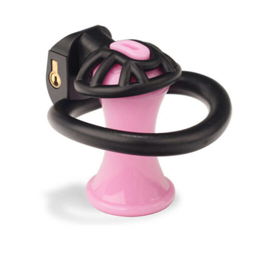 Inverted Plugged Innie Chastity Cage Main2
