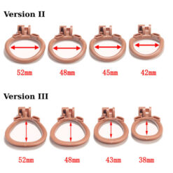 Realistic Flesh Penis Chastity Cage Ring Size