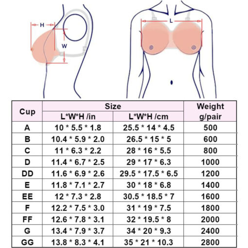 Strap On Realistic Silicone Breast Forms With Cleavage Size Chart