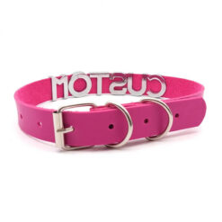 Personalized Rhinestone Name Collar Detail 4
